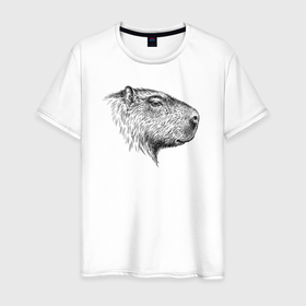 Мужская футболка хлопок с принтом Капибара в профиль в Санкт-Петербурге, 100% хлопок | прямой крой, круглый вырез горловины, длина до линии бедер, слегка спущенное плечо. | 