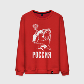 Мужской свитшот хлопок с принтом Русский  медведь в Санкт-Петербурге, 100% хлопок |  | Тематика изображения на принте: 