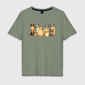 Мужская футболка хлопок Oversize с принтом Сердитые коты кофейного цвета в Тюмени, 100% хлопок | свободный крой, круглый ворот, “спинка” длиннее передней части | 