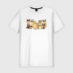 Мужская футболка хлопок Slim с принтом Сердитые коты кофейного цвета в Кировске, 92% хлопок, 8% лайкра | приталенный силуэт, круглый вырез ворота, длина до линии бедра, короткий рукав | 