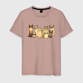 Мужская футболка хлопок с принтом Сердитые коты кофейного цвета в Екатеринбурге, 100% хлопок | прямой крой, круглый вырез горловины, длина до линии бедер, слегка спущенное плечо. | 