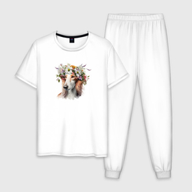 Мужская пижама хлопок с принтом Салюки бело рыжий в цветах , 100% хлопок | брюки и футболка прямого кроя, без карманов, на брюках мягкая резинка на поясе и по низу штанин
 | 