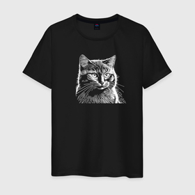 Мужская футболка хлопок с принтом Пушистый котик в Санкт-Петербурге, 100% хлопок | прямой крой, круглый вырез горловины, длина до линии бедер, слегка спущенное плечо. | 