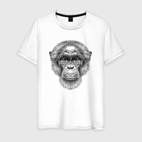 Мужская футболка хлопок с принтом Шимпанзе голова в Екатеринбурге, 100% хлопок | прямой крой, круглый вырез горловины, длина до линии бедер, слегка спущенное плечо. | 