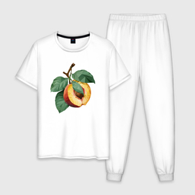 Мужская пижама хлопок с принтом Персик с листьями в Новосибирске, 100% хлопок | брюки и футболка прямого кроя, без карманов, на брюках мягкая резинка на поясе и по низу штанин
 | 