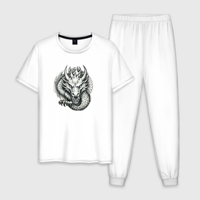 Мужская пижама хлопок с принтом Рифовый дракон в Тюмени, 100% хлопок | брюки и футболка прямого кроя, без карманов, на брюках мягкая резинка на поясе и по низу штанин
 | Тематика изображения на принте: 