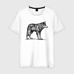 Мужская футболка хлопок с принтом Волк дикий в Новосибирске, 100% хлопок | прямой крой, круглый вырез горловины, длина до линии бедер, слегка спущенное плечо. | 