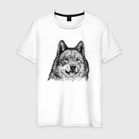 Мужская футболка хлопок с принтом Ауф волк в Курске, 100% хлопок | прямой крой, круглый вырез горловины, длина до линии бедер, слегка спущенное плечо. | 