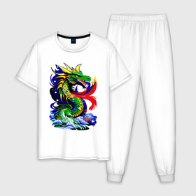 Мужская пижама хлопок с принтом Dragon  art в Белгороде, 100% хлопок | брюки и футболка прямого кроя, без карманов, на брюках мягкая резинка на поясе и по низу штанин
 | 