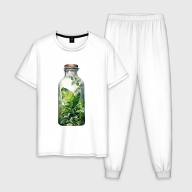 Мужская пижама хлопок с принтом Флорариум разные растения в Новосибирске, 100% хлопок | брюки и футболка прямого кроя, без карманов, на брюках мягкая резинка на поясе и по низу штанин
 | 
