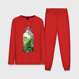 Мужская пижама с лонгсливом хлопок с принтом Флорариум разные растения в Белгороде,  |  | 