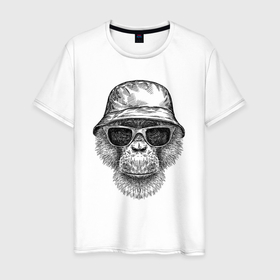Мужская футболка хлопок с принтом Шимпанзе в панаме и очках в Тюмени, 100% хлопок | прямой крой, круглый вырез горловины, длина до линии бедер, слегка спущенное плечо. | Тематика изображения на принте: 