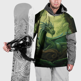 Накидка на куртку 3D с принтом Лесной  зеленый  дракон 2024 в Санкт-Петербурге, 100% полиэстер |  | 