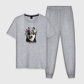Мужская пижама хлопок с принтом Сибирский хаски в цветах в Екатеринбурге, 100% хлопок | брюки и футболка прямого кроя, без карманов, на брюках мягкая резинка на поясе и по низу штанин
 | 