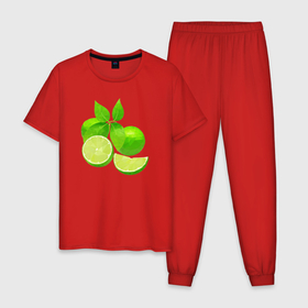 Мужская пижама хлопок с принтом Лайм целиком с листьями , 100% хлопок | брюки и футболка прямого кроя, без карманов, на брюках мягкая резинка на поясе и по низу штанин
 | 