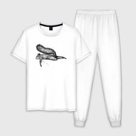 Мужская пижама хлопок с принтом Белка лежит , 100% хлопок | брюки и футболка прямого кроя, без карманов, на брюках мягкая резинка на поясе и по низу штанин
 | 