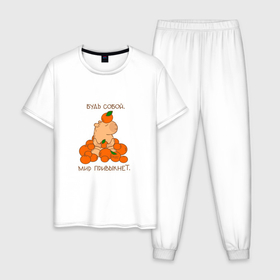 Мужская пижама хлопок с принтом Капибара и мандарины: будь собой в Тюмени, 100% хлопок | брюки и футболка прямого кроя, без карманов, на брюках мягкая резинка на поясе и по низу штанин
 | 