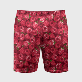 Мужские шорты спортивные с принтом Малина ягода в Курске,  |  | Тематика изображения на принте: 