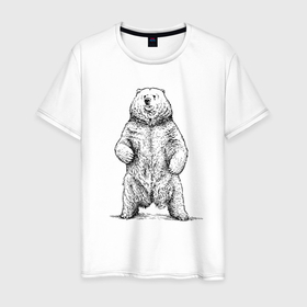 Мужская футболка хлопок с принтом Медведь стоит в Белгороде, 100% хлопок | прямой крой, круглый вырез горловины, длина до линии бедер, слегка спущенное плечо. | 