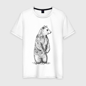 Мужская футболка хлопок с принтом Медведь стоящий в Белгороде, 100% хлопок | прямой крой, круглый вырез горловины, длина до линии бедер, слегка спущенное плечо. | 
