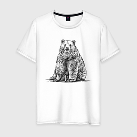 Мужская футболка хлопок с принтом Медведь сидящий в Белгороде, 100% хлопок | прямой крой, круглый вырез горловины, длина до линии бедер, слегка спущенное плечо. | 