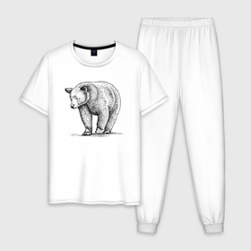 Мужская пижама хлопок с принтом Медведь гуляющий в Тюмени, 100% хлопок | брюки и футболка прямого кроя, без карманов, на брюках мягкая резинка на поясе и по низу штанин
 | 