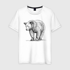 Мужская футболка хлопок с принтом Медведь гуляющий в Белгороде, 100% хлопок | прямой крой, круглый вырез горловины, длина до линии бедер, слегка спущенное плечо. | 