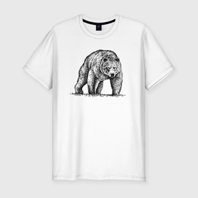 Мужская футболка хлопок Slim с принтом Медведь серьезный в Кировске, 92% хлопок, 8% лайкра | приталенный силуэт, круглый вырез ворота, длина до линии бедра, короткий рукав | 