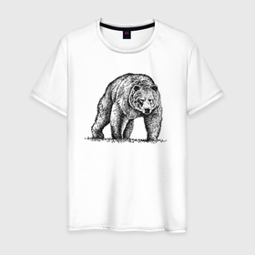 Мужская футболка хлопок с принтом Медведь серьезный в Белгороде, 100% хлопок | прямой крой, круглый вырез горловины, длина до линии бедер, слегка спущенное плечо. | Тематика изображения на принте: 