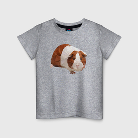Детская футболка хлопок с принтом Морская свинка в полигональном стиле в Белгороде, 100% хлопок | круглый вырез горловины, полуприлегающий силуэт, длина до линии бедер | Тематика изображения на принте: 