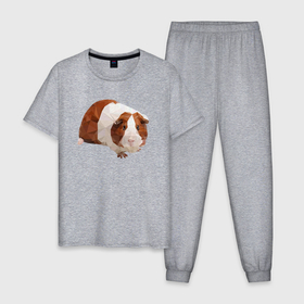 Мужская пижама хлопок с принтом Морская свинка в полигональном стиле в Белгороде, 100% хлопок | брюки и футболка прямого кроя, без карманов, на брюках мягкая резинка на поясе и по низу штанин
 | 