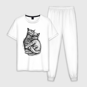 Мужская пижама хлопок с принтом Котики обнимаются в Петрозаводске, 100% хлопок | брюки и футболка прямого кроя, без карманов, на брюках мягкая резинка на поясе и по низу штанин
 | 