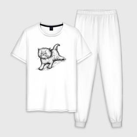 Мужская пижама хлопок с принтом Пушистый котёнок в Новосибирске, 100% хлопок | брюки и футболка прямого кроя, без карманов, на брюках мягкая резинка на поясе и по низу штанин
 | 