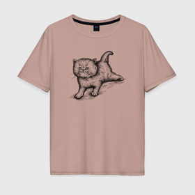 Мужская футболка хлопок Oversize с принтом Пушистый котёнок в Санкт-Петербурге, 100% хлопок | свободный крой, круглый ворот, “спинка” длиннее передней части | 