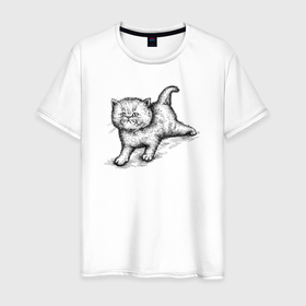 Мужская футболка хлопок с принтом Пушистый котёнок в Петрозаводске, 100% хлопок | прямой крой, круглый вырез горловины, длина до линии бедер, слегка спущенное плечо. | 