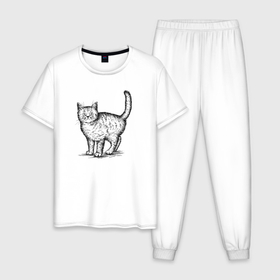 Мужская пижама хлопок с принтом Кошка сбоку в Санкт-Петербурге, 100% хлопок | брюки и футболка прямого кроя, без карманов, на брюках мягкая резинка на поясе и по низу штанин
 | 