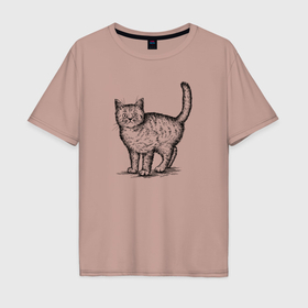 Мужская футболка хлопок Oversize с принтом Кошка сбоку в Санкт-Петербурге, 100% хлопок | свободный крой, круглый ворот, “спинка” длиннее передней части | 