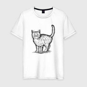 Мужская футболка хлопок с принтом Кошка сбоку в Санкт-Петербурге, 100% хлопок | прямой крой, круглый вырез горловины, длина до линии бедер, слегка спущенное плечо. | 