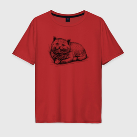 Мужская футболка хлопок Oversize с принтом Котёнок отдыхает в Тюмени, 100% хлопок | свободный крой, круглый ворот, “спинка” длиннее передней части | Тематика изображения на принте: 