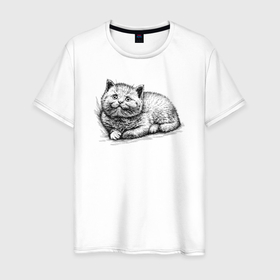 Мужская футболка хлопок с принтом Котёнок отдыхает в Тюмени, 100% хлопок | прямой крой, круглый вырез горловины, длина до линии бедер, слегка спущенное плечо. | Тематика изображения на принте: 