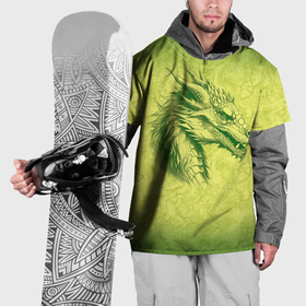 Накидка на куртку 3D с принтом Зеленый нарисованный дракон с открытой пастью в Санкт-Петербурге, 100% полиэстер |  | Тематика изображения на принте: 