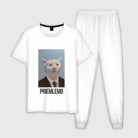 Мужская пижама хлопок с принтом Приемлемо   кот мем в живописи в Санкт-Петербурге, 100% хлопок | брюки и футболка прямого кроя, без карманов, на брюках мягкая резинка на поясе и по низу штанин
 | 