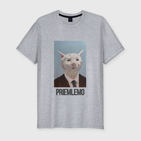 Мужская футболка хлопок Slim с принтом Приемлемо   кот мем в живописи в Санкт-Петербурге, 92% хлопок, 8% лайкра | приталенный силуэт, круглый вырез ворота, длина до линии бедра, короткий рукав | 