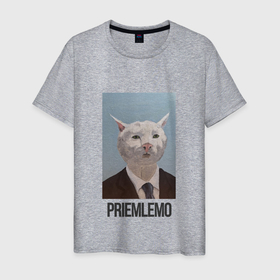 Мужская футболка хлопок с принтом Приемлемо   кот мем в живописи в Санкт-Петербурге, 100% хлопок | прямой крой, круглый вырез горловины, длина до линии бедер, слегка спущенное плечо. | 
