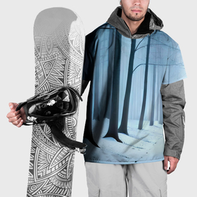Накидка на куртку 3D с принтом Тропинка между деревьев в зимнем лесу в Тюмени, 100% полиэстер |  | Тематика изображения на принте: 