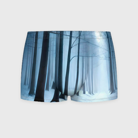 Мужские трусы 3D с принтом Тропинка между деревьев в зимнем лесу в Тюмени, 50% хлопок, 50% полиэстер | классическая посадка, на поясе мягкая тканевая резинка | Тематика изображения на принте: 