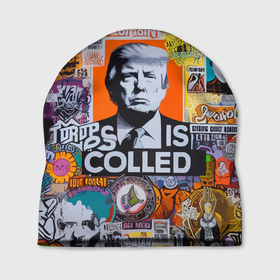 Шапка 3D с принтом Donald Trump   american сollage в Кировске, 100% полиэстер | универсальный размер, печать по всей поверхности изделия | 