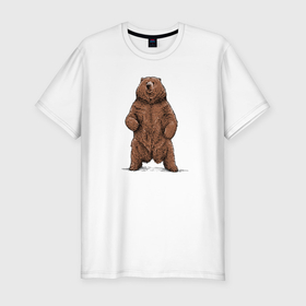 Мужская футболка хлопок Slim с принтом Медведь бурый в Курске, 92% хлопок, 8% лайкра | приталенный силуэт, круглый вырез ворота, длина до линии бедра, короткий рукав | 