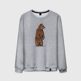 Мужской свитшот хлопок с принтом Медведь бурый стоит в Курске, 100% хлопок |  | 