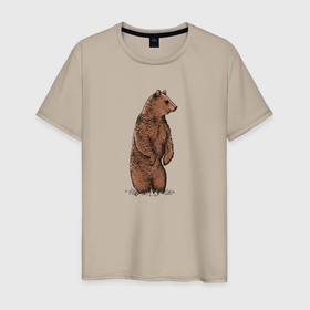 Мужская футболка хлопок с принтом Медведь бурый стоит в Белгороде, 100% хлопок | прямой крой, круглый вырез горловины, длина до линии бедер, слегка спущенное плечо. | 
